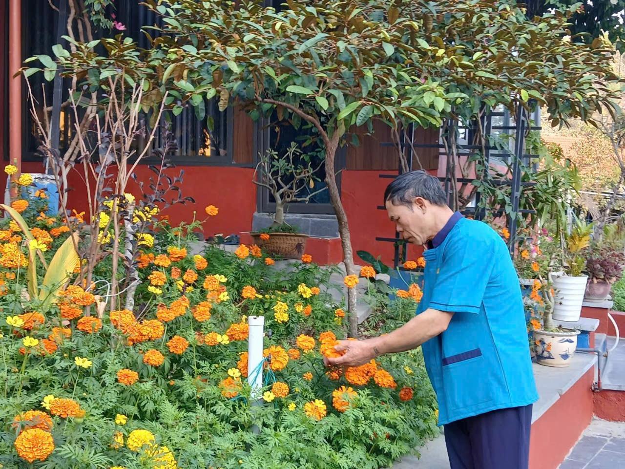 Catba Papillon Garden Bungalows & Resort Hien Hao エクステリア 写真