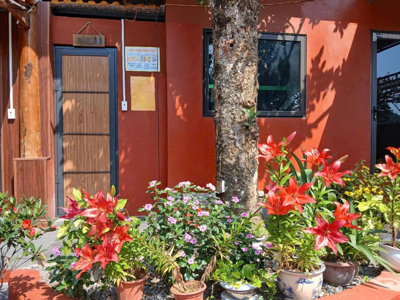 Catba Papillon Garden Bungalows & Resort Hien Hao エクステリア 写真