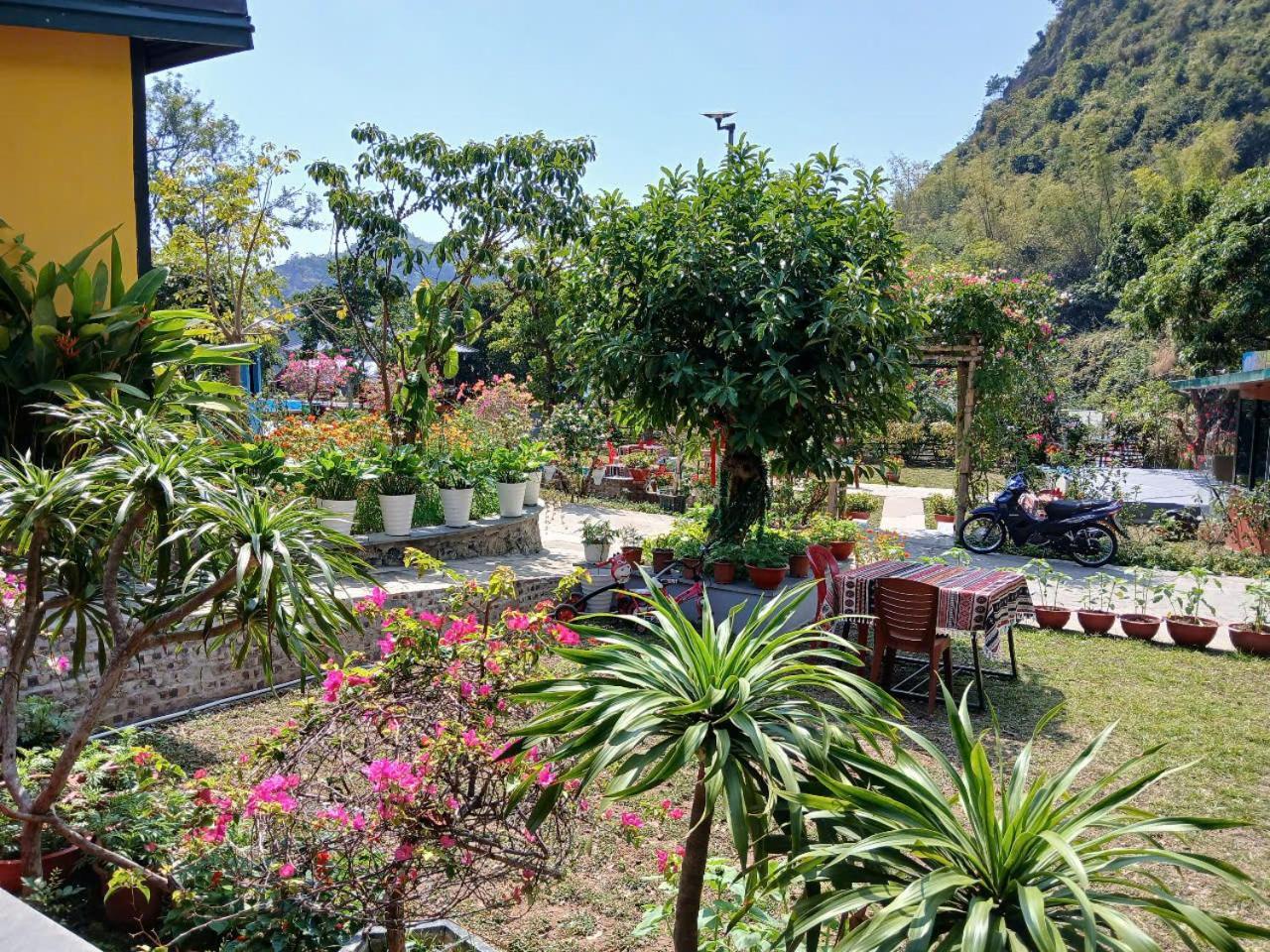 Catba Papillon Garden Bungalows & Resort Hien Hao エクステリア 写真