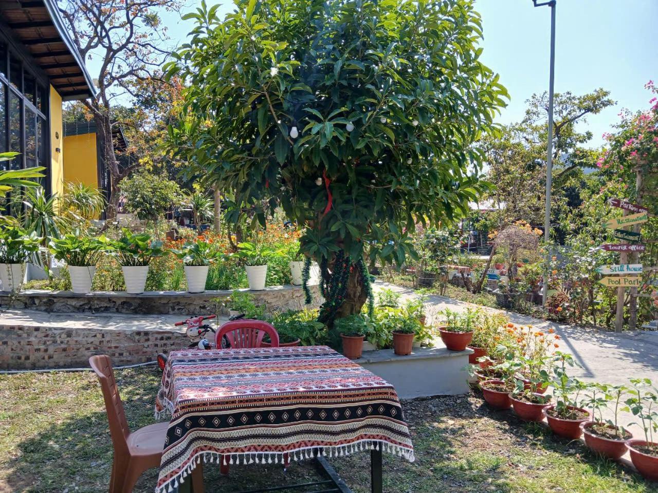 Catba Papillon Garden Bungalows & Resort Hien Hao エクステリア 写真