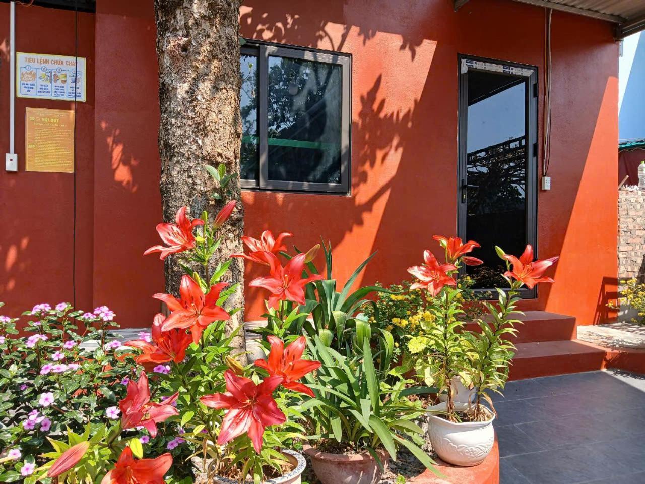 Catba Papillon Garden Bungalows & Resort Hien Hao エクステリア 写真