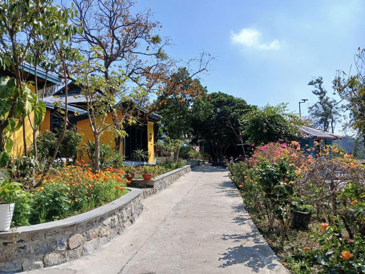 Catba Papillon Garden Bungalows & Resort Hien Hao エクステリア 写真