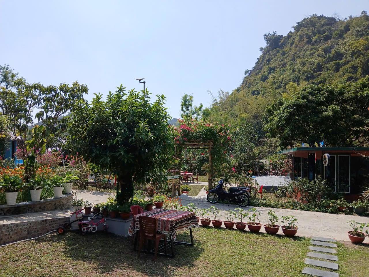 Catba Papillon Garden Bungalows & Resort Hien Hao エクステリア 写真