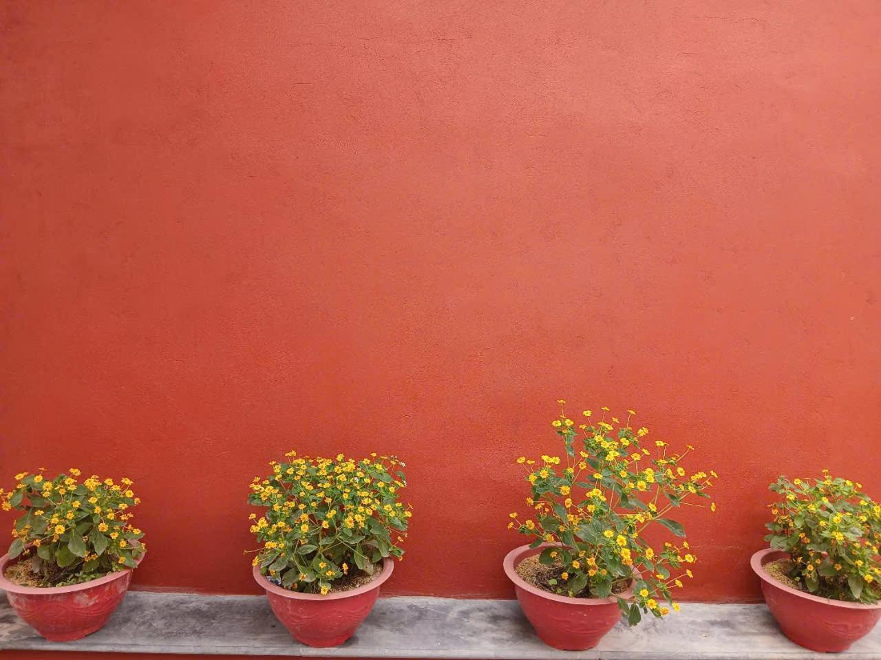 Catba Papillon Garden Bungalows & Resort Hien Hao エクステリア 写真